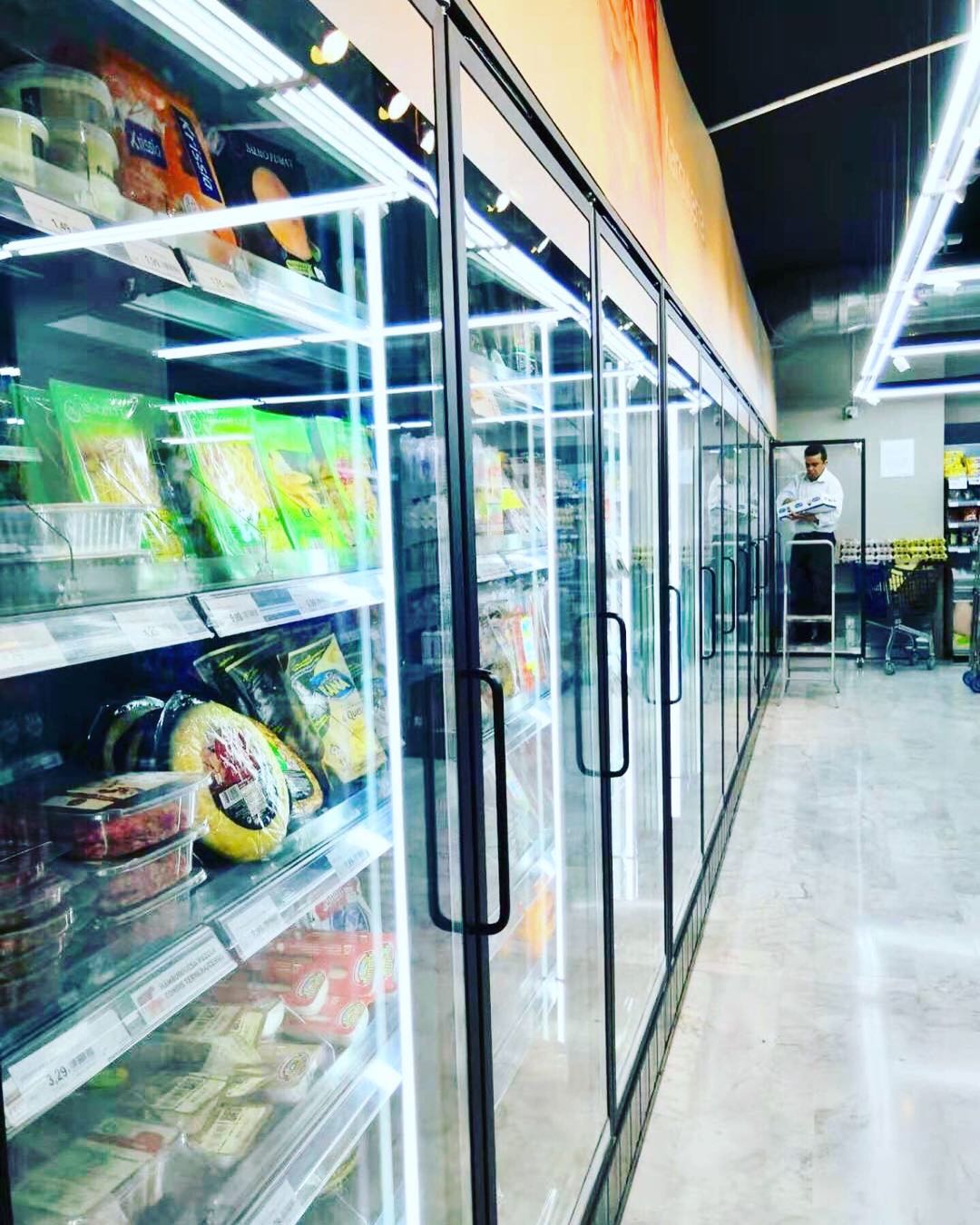 HOT SALE Wholesales Glass Door for Display Walk-in Cooler